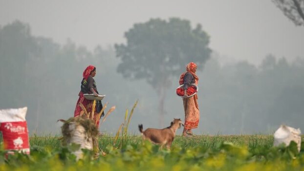View of women walking through rural fields in Bogura Bangladesh.