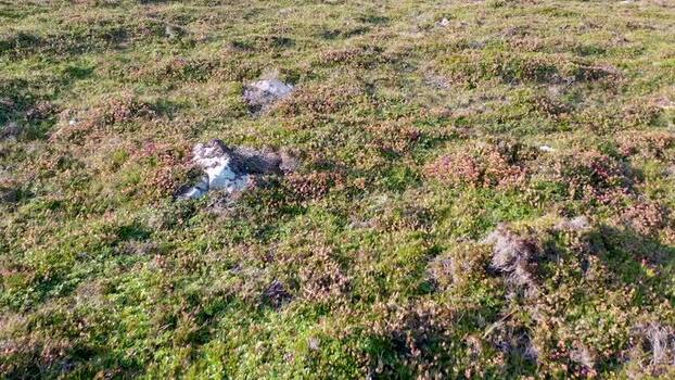 Aerial view of rugged coastal terrain in Ardara Ireland.