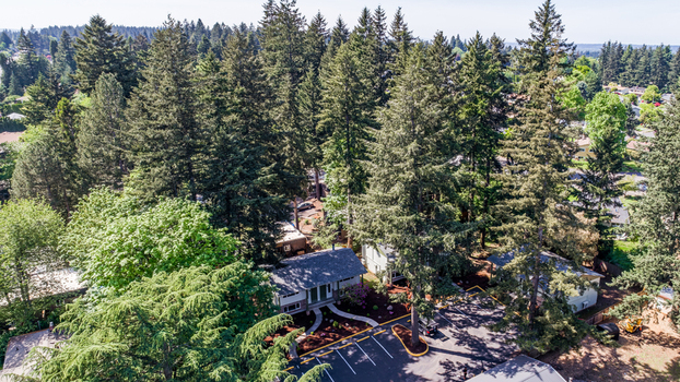 Aerial view of tall evergreen trees surrounding residential houses and a parking lot near Northeast Glisan Street in Portland Oregon United States. Aerial view of tall evergreen trees surrounding residential houses and a parking lot near Northeast Glisan Street in Portland Oregon United States.