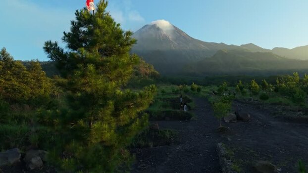 Aerial view of Bunker Kaliadem Merapi and pine trees Indonesia.