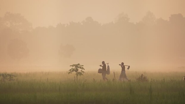 View of farmers walking through a misty field at sunrise Bangladesh.