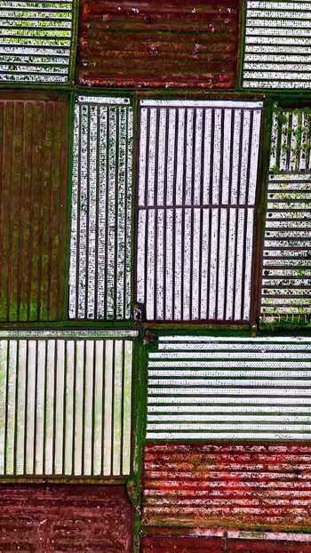 Aerial view of agricultural fields in Bali Indonesia.
