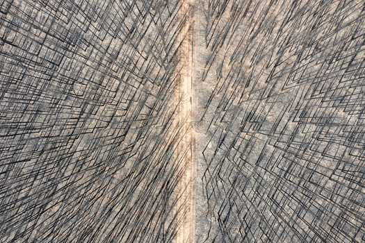 Aerial view of a forest landscape devastated by wildfire featuring charred black tree trunks and a dirt road cutting through the center in Kangaroo Island South Australia Australia. Aerial view of a forest landscape devastated by wildfire featuring charred black tree trunks and a dirt road cutting through the center in Kangaroo Island South Australia Australia.