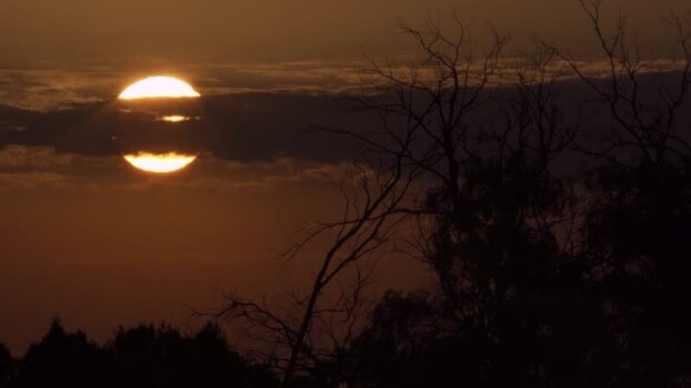 Aerial view of sunset behind clouds and silhouetted trees Algeria.