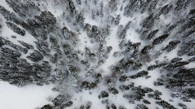Aerial view of the snow covered pine forest at La Vattay with dense evergreen trees blanketed in white snow in Mijoux Auvergne Rhone Alpes France. Aerial view of the snow covered pine forest at La Vattay with dense evergreen trees blanketed in white snow in Mijoux Auvergne Rhone Alpes France.