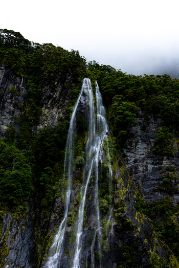 View of a slender towering waterfall cascading down a steep verdant cliff face under a misty sky creating a serene and awe inspiring scene Milford Sound Southland Region New Zealand.
