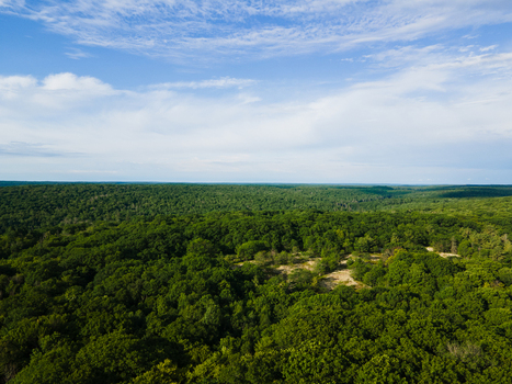 Aerial view of the dense green forest canopy surrounding Commanda Lake under a bright blue sky with scattered clouds in Restoule Ontario Canada. Aerial view of the dense green forest canopy surrounding Commanda Lake under a bright blue sky with scattered clouds in Restoule Ontario Canada.