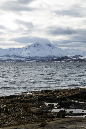 View of snow capped mountains across a fjord from a rocky shoreline under a cloudy sky in Tromso Troms Norway.