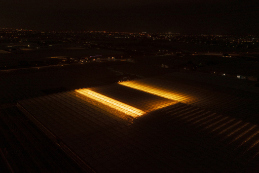 Aerial view of large industrial greenhouses glowing with intense orange light during the night.