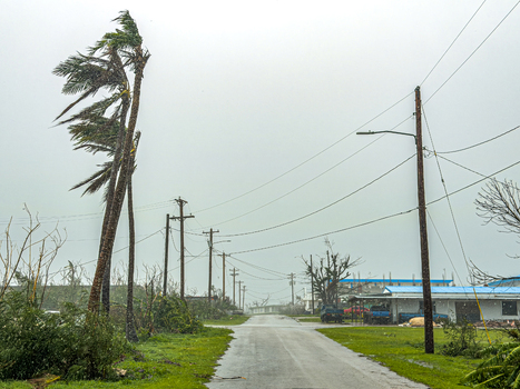 San Jose Tinian Northern Mariana Islands 06 July 2026 View of Super Typhoon Bavi passing Tinian Island with palm trees bending in high winds and power lines along a wet road. San Jose Tinian Northern Mariana Islands 06 July 2026 View of Super Typhoon Bavi passing Tinian Island with palm trees bending in high winds and power lines along a wet road.