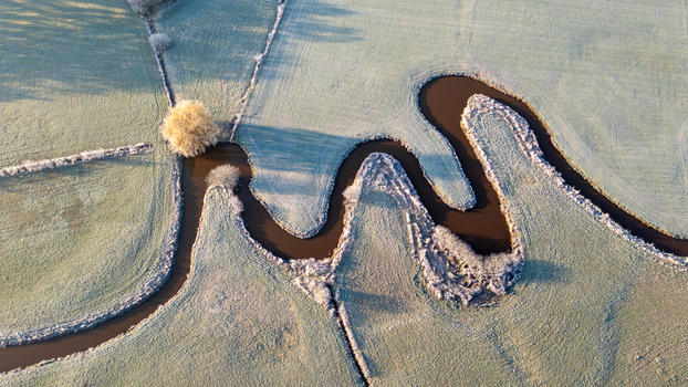 Aerial view of a meandering stream flowing through frost covered meadows with a solitary golden tree in De Schiphorst Drenthe Netherlands.