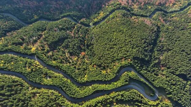 Aerial view of winding road through Transylvania forest Romania.