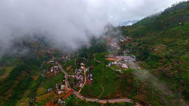 Aerial view of tea plantations in the mountains of Sri Lanka.