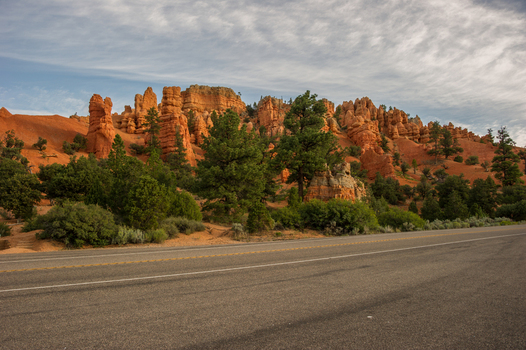 View of the distinctive red rock hoodoos and pine trees along a road in Bryce Canyon National Park Utah United States.