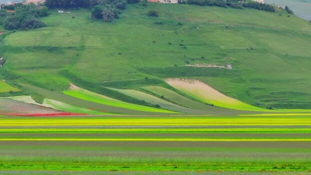 Aerial view of the flowering fields of Piano Grande Italy.