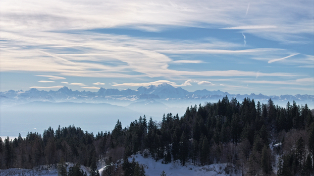 Aerial view of a forest foreground meeting a serene misty valley and the majestic snow capped Alps under a wispy sky Gex Auvergne Rhône Alpes France. Aerial view of a forest foreground meeting a serene misty valley and the majestic snow capped Alps under a wispy sky Gex Auvergne Rhône Alpes France.