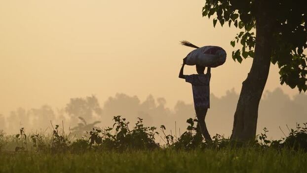 View of a man carrying a sack through a misty field Bangladesh. View of a man carrying a sack through a misty field Bangladesh.