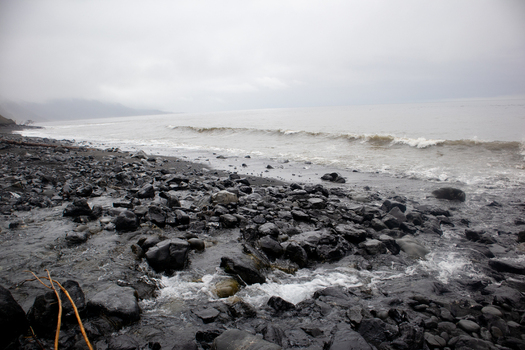 View of the rugged Lost Coast shoreline with dark volcanic rocks crashing waves and misty mountains under an overcast sky in Humboldt County California United States.