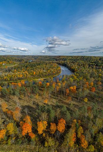 Aerial view of the Gauja River winding through a dense forest with vibrant autumn foliage under a clear blue sky in Sigulda Sigulda Municipality Latvia. Aerial view of the Gauja River winding through a dense forest with vibrant autumn foliage under a clear blue sky in Sigulda Sigulda Municipality Latvia.
