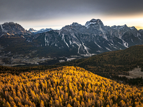 Aerial view of golden autumn trees contrasting with the rugged snow dusted Dolomites peaks of Cortina d Ampezzo Veneto Italy.