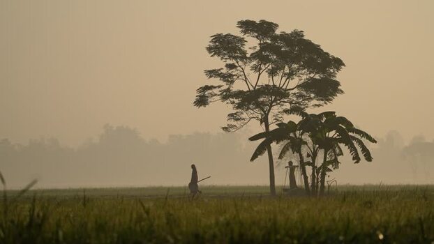 View of a silhouetted person walking in a misty field Bangladesh.