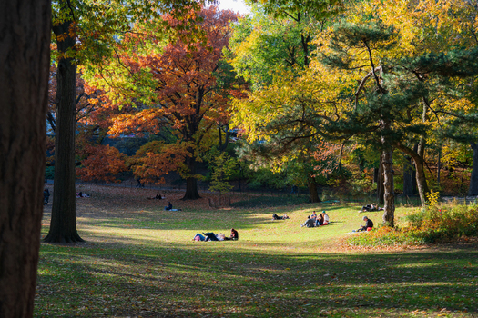Manhattan United States 08 November 2025 View of Central Park s vibrant autumn foliage casting dappled sunlight on lounging figures a tranquil urban escape. Manhattan United States 08 November 2025 View of Central Park s vibrant autumn foliage casting dappled sunlight on lounging figures a tranquil urban escape.