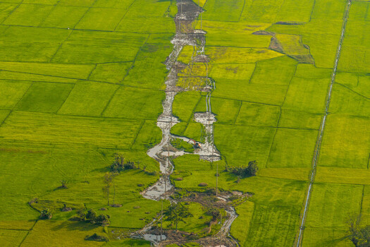 Aerial view of the lush green rice paddies surrounding Lak Lake featuring intricate irrigation channels and rural agricultural land in Lien Son Lak Dak Lak Vietnam. Aerial view of the lush green rice paddies surrounding Lak Lake featuring intricate irrigation channels and rural agricultural land in Lien Son Lak Dak Lak Vietnam.