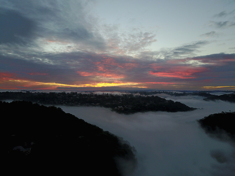 Aerial view of a sunrise over a dense forest valley filled with morning fog in Killarney Heights New South Wales Australia.
