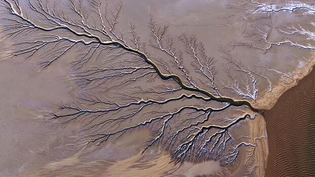 Aerial view of the Colorado River Delta dendritic patterns Mexico.