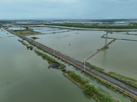 Aerial view of the Khurushkul area featuring a road stretching through expansive flooded fields and wetlands under a cloudy sky in Cox s Bazar Chittagong Division Bangladesh. Aerial view of the Khurushkul area featuring a road stretching through expansive flooded fields and wetlands under a cloudy sky in Cox s Bazar Chittagong Division Bangladesh.