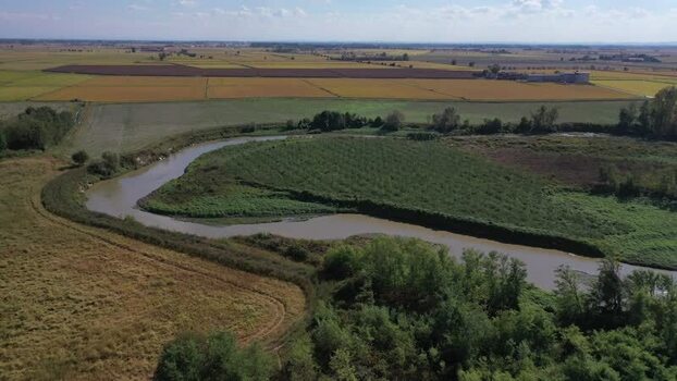 Aerial view of the Agogna rice fields and river Italy.