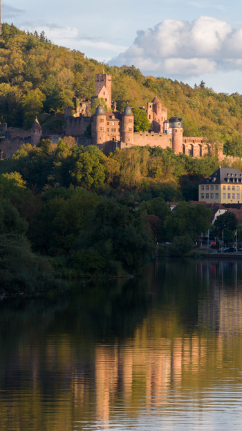 Aerial view of Wertheim Castle overlooking the Main river surrounded by lush green hills and reflected in the calm water at sunset in Wertheim Baden Wurttemberg Germany.