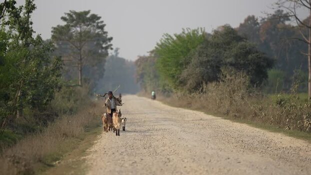 View of a man herding goats on a dusty rural road Nepal. View of a man herding goats on a dusty rural road Nepal.