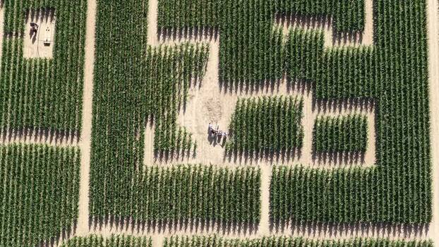 Aerial view of Labyrinthis corn maze in Soultz Haut Rhin France.