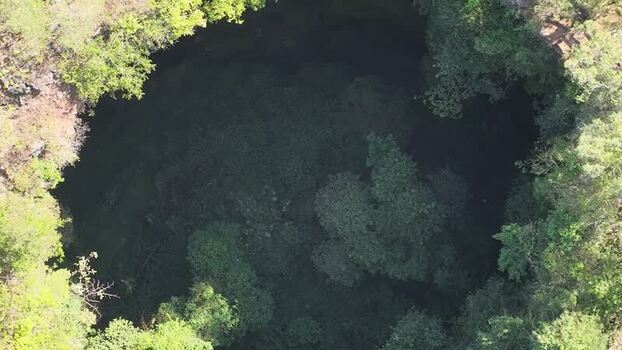 Aerial view of Jomblang Cave sinkhole in Indonesia.