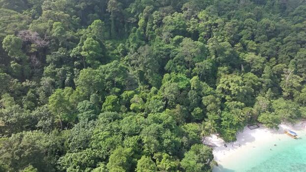 Aerial view of Perhentian Islands tropical forest Malaysia. Aerial view of Perhentian Islands tropical forest Malaysia.