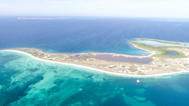 Aerial view of Los Roques archipelago featuring turquoise waters white sand beaches and coastal vegetation in Los Roques Dependencias Federale Venezuela. Aerial view of Los Roques archipelago featuring turquoise waters white sand beaches and coastal vegetation in Los Roques Dependencias Federale Venezuela.