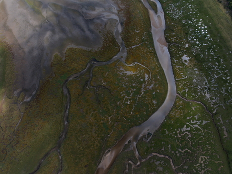 Aerial view of Abstract Tidal Patterns Culbin Sands showing intricate winding channels salt marshes and textured sandbanks at low tide in Nairn Scotland United Kingdom. Aerial view of Abstract Tidal Patterns Culbin Sands showing intricate winding channels salt marshes and textured sandbanks at low tide in Nairn Scotland United Kingdom.