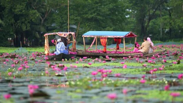 View of people in boats on a water lily pond Bangladesh. View of people in boats on a water lily pond Bangladesh.