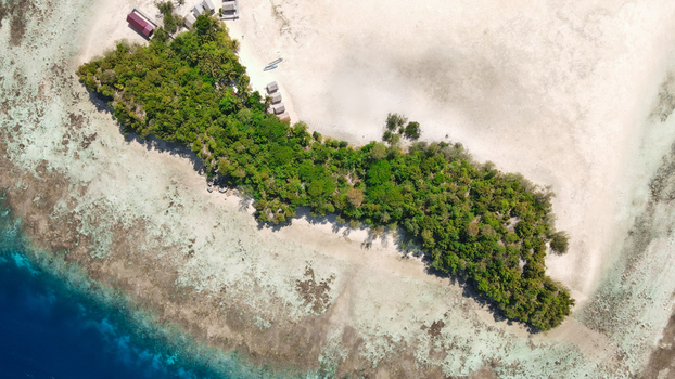 Aerial view of a lush tropical island with dense green vegetation white sand beaches and surrounding coral reefs in Raja Ampat Southwest Papua Indonesia.