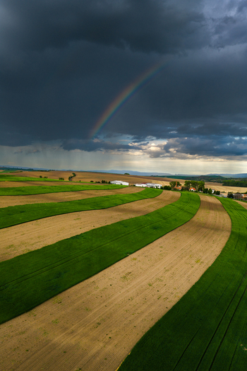 Aerial view of rolling agricultural fields with alternating green and brown strips under a dramatic dark storm sky with a rainbow in Nasedlovice South Moravian Region Czechia.