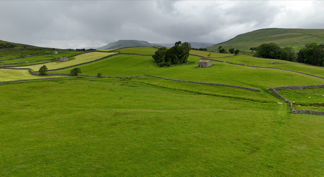 View of the Yorkshire Dales landscape with traditional dry stone walls and stone barns across rolling green pastures in Hawes England United Kingdom. View of the Yorkshire Dales landscape with traditional dry stone walls and stone barns across rolling green pastures in Hawes England United Kingdom.