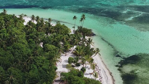 Aerial view of tropical palm trees and white sand beaches Maldives. Aerial view of tropical palm trees and white sand beaches Maldives.