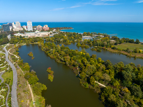 Aerial view of Wooded Island surrounded by lush trees and water in Jackson Park with the Museum of Science and Industry and Chicago skyline along Lake Michigan in Chicago Illinois United States.