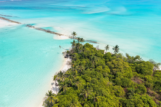 Aerial view of a lush tropical island with tall palm trees and dense vegetation surrounded by crystal clear turquoise lagoon water Innafinolhu Haa Alif Atoll Maldives. Aerial view of a lush tropical island with tall palm trees and dense vegetation surrounded by crystal clear turquoise lagoon water Innafinolhu Haa Alif Atoll Maldives.