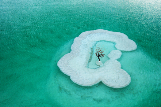 Aerial view of a solitary bare tree emerging from crystalline white salt formations surrounded by vibrant turquoise waters Ein Bokek Southern District Israel. Aerial view of a solitary bare tree emerging from crystalline white salt formations surrounded by vibrant turquoise waters Ein Bokek Southern District Israel.