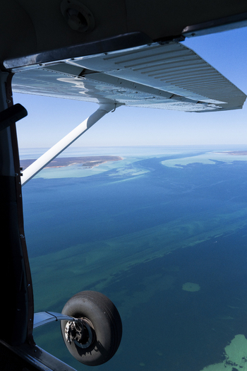 Aerial view of the turquoise ocean patterns and coastal landscape of Shark Bay seen from a small aircraft Shire of Shark Bay Western Australia Australia. Aerial view of the turquoise ocean patterns and coastal landscape of Shark Bay seen from a small aircraft Shire of Shark Bay Western Australia Australia.
