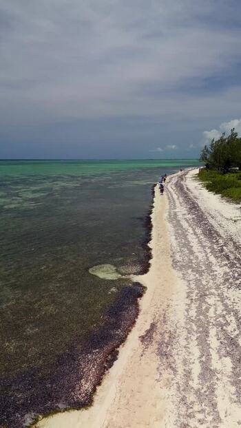 Aerial view of Grand Cayman beach Cayman Islands. Aerial view of Grand Cayman beach Cayman Islands.