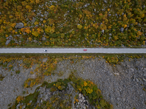 Aerial view of a straight road with two cars driving through a rocky landscape covered in vibrant autumn foliage near Rorvikstranda Henningsvaer Nordland Norway.