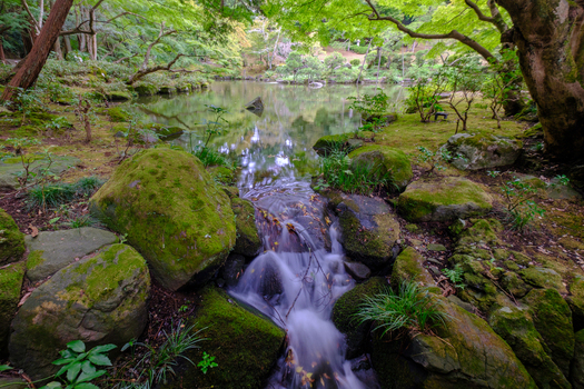 View of tranquil waters flow over moss covered rocks in a Japanese garden framed by lush greenery and ancient trees Narita Chiba Japan. View of tranquil waters flow over moss covered rocks in a Japanese garden framed by lush greenery and ancient trees Narita Chiba Japan.
